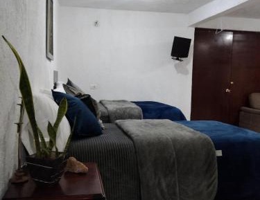 Two-Bedroom House