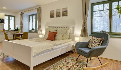 Superior Queen Room