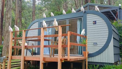 Holiday Home