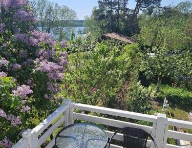 One-Bedroom Apartment with Lake View