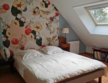 King Room with Garden View