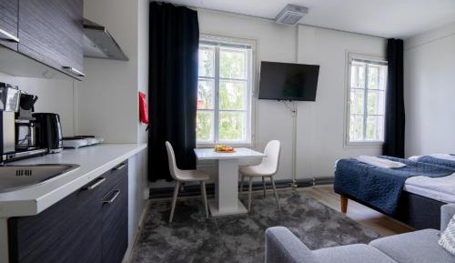 Studio Apartment