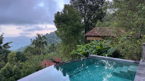 Deluxe Wani Pool Villa with View