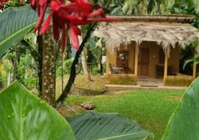 Triple Room with Garden View