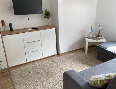 Deluxe One-Bedroom Apartment