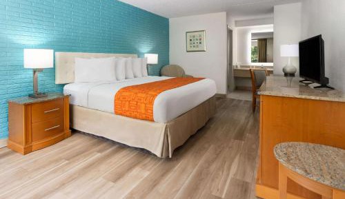 King Room - Non-Smoking