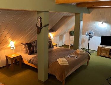 Studio with Mountain View