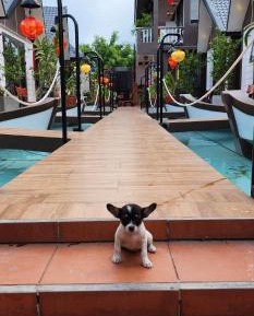 King Room with Two King Beds