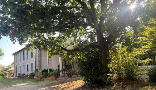 Apartment with Garden View