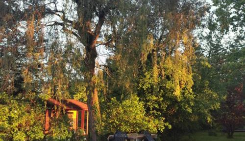 King Room with Garden View