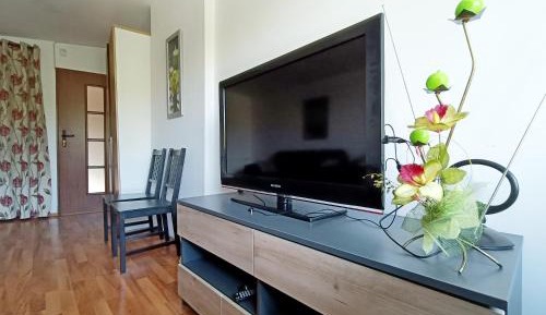 Superior Family Room