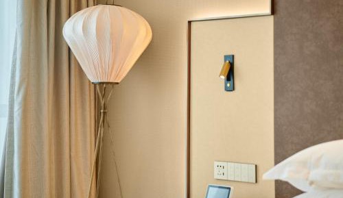 Large Single Room