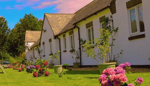 Twin Room with Shower