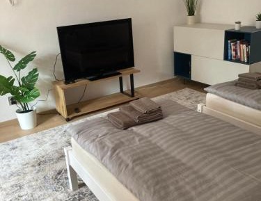 One-Bedroom Apartment with Garden View