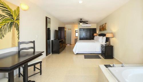 Ocean Front Swim Up Junior Suites