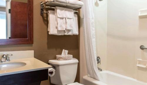 Two Queen Bed Suite with Sofa Bed - Non Smoking