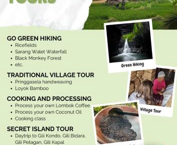 Standard Double Room with Fan