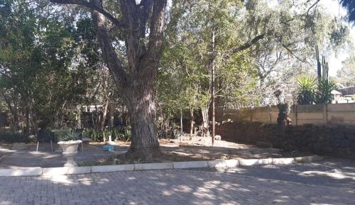 Queen Room with Shared Bathroom