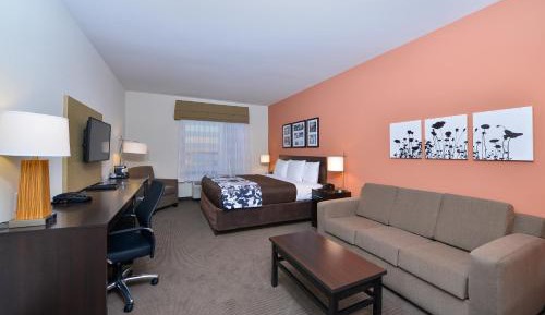 King Suite with Sofa Bed - Non-Smoking