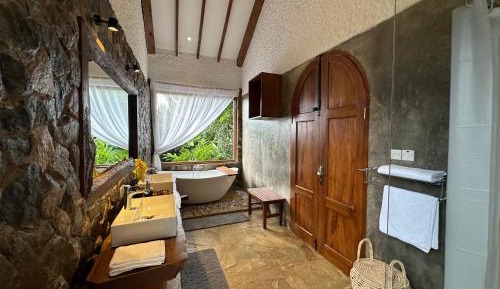 Double Room with Pool View