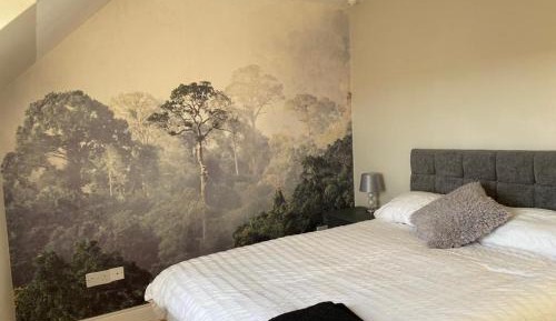 Standard Twin Room with Shared Bathroom