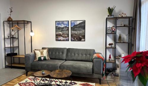 Family Studio