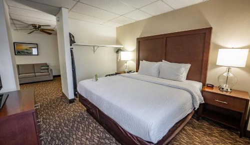 Deluxe Queen Suite