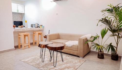 Duplex Apartment