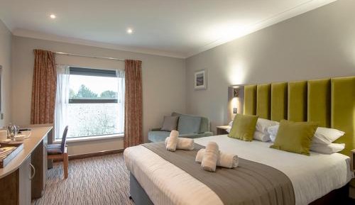 Family Room (2 Adults + 1 Child)