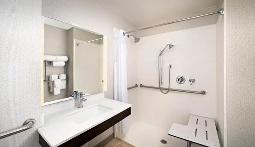 King Room - Disability Access Roll in Shower