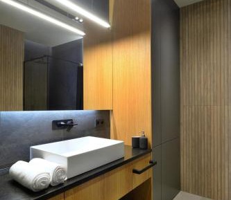 One-Bedroom Apartment with Lake View