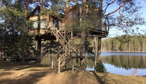 Standard Tree House with Lake View