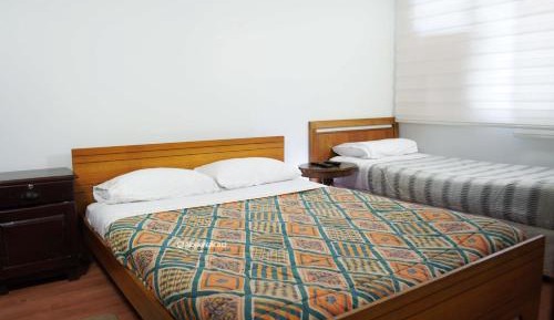 Budget Triple Room