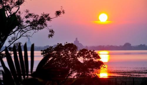 Family Room with Garden View