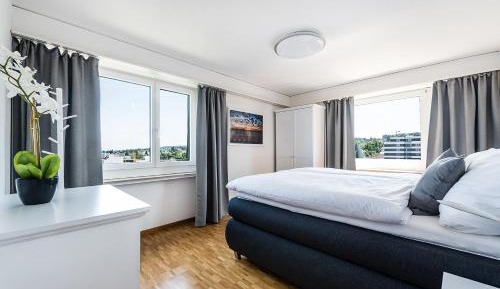 One-Bedroom Apartment with Lake View