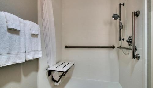 King Room - Disability Access Roll in Shower