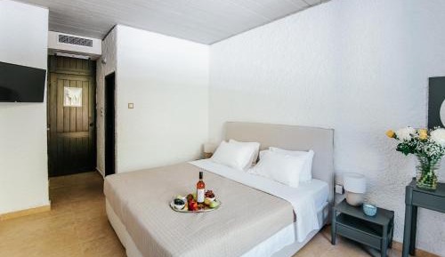 Double or Twin Room with Garden View