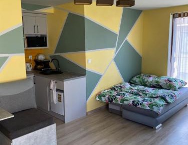 Studio Apartment