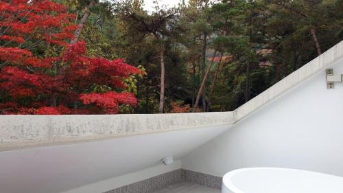 Studio with Garden View