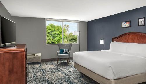Larger Guest room, 1 King