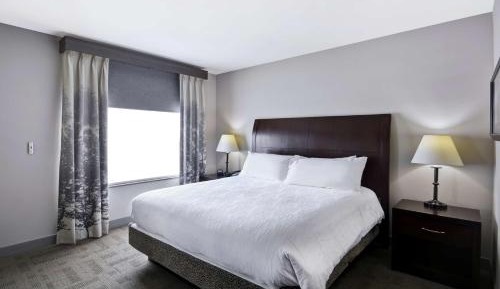 Junior King Suite with Sofa Bed