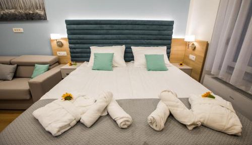 Deluxe Double or Twin Room with Mountain View
