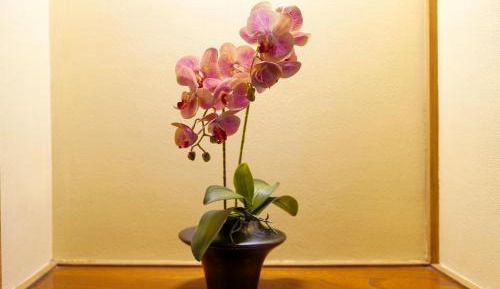 Deluxe Double or Twin Room with Ocean View