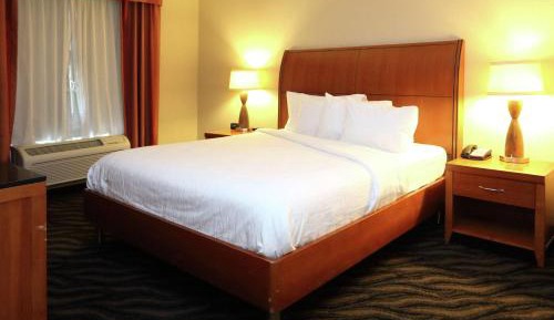 One-Bedroom King Suite