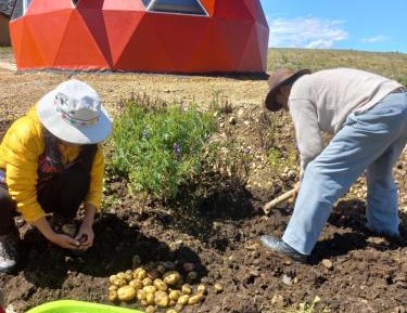 Mixed Dormitory Room