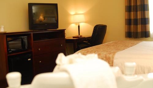 King Room - Pet Friendly