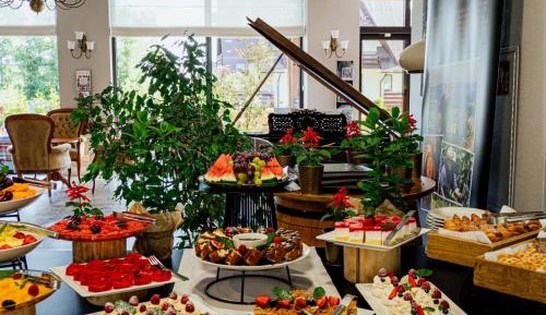 Superior Double Room with Mountain View