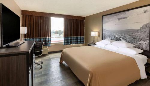 1 King Bed, Mobility Accessible Room, Roll In Shower, Non-Smoking