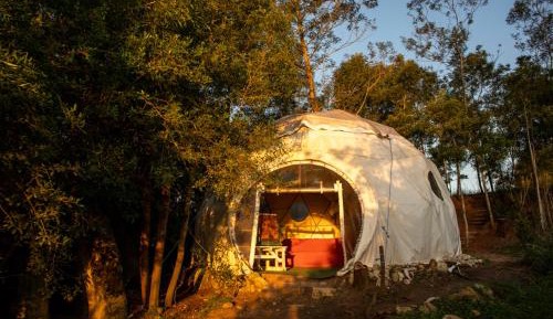 Double Room with Garden View