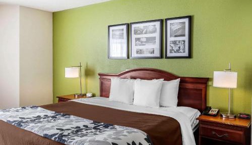 Queen Room with Roll-in-Shower - Accessible/Non-Smoking